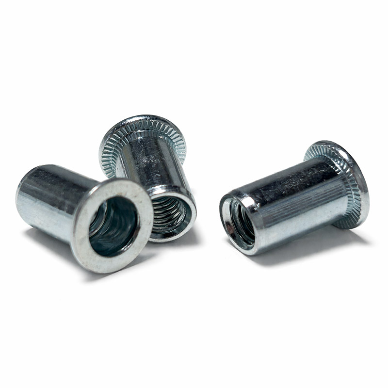 RNA Flat Head Round Body Rivet Nuts