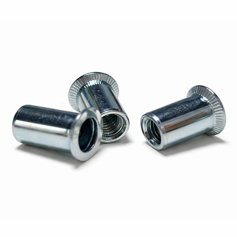 RNE Countersunk Head Round Body Rivet Nuts